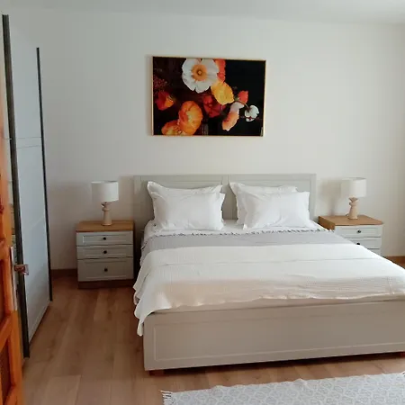 Apartment Gveric *
